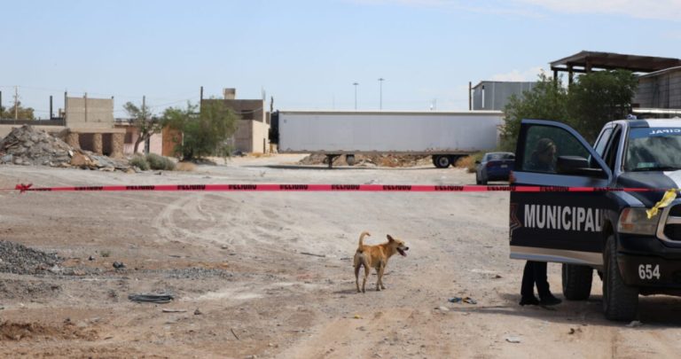 FGE Chihuahua investiga crematorio por entregar cenizas de animales