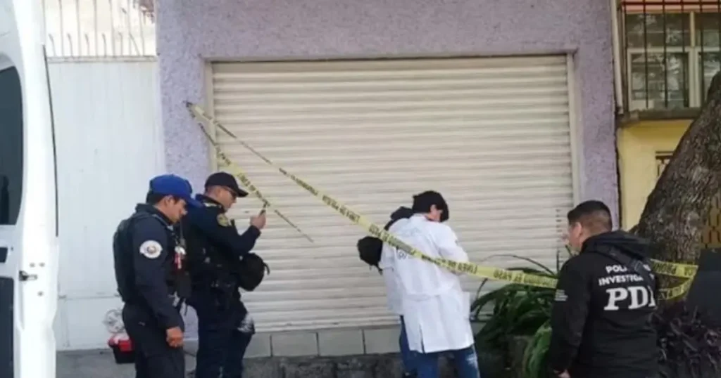 Feto de 8 Meses hallado en jardinera de Tlalpan: Investigación en curso