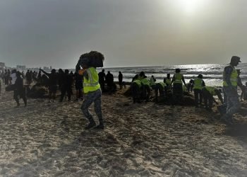 | CAMINOS DEL MAYAB | Lanza Riviera Maya llamado de auxilio por crisis del sargazo