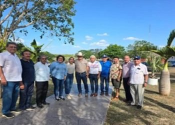 POR UNA CURUL: Los amarres de Mary Hernández con los caciques de JMM