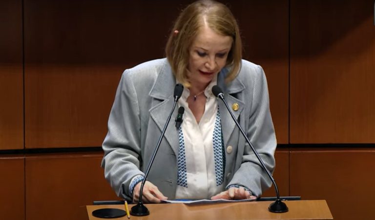 Laura Itzel Castillo Aspira a Presidir Mesa Directiva del Senado
