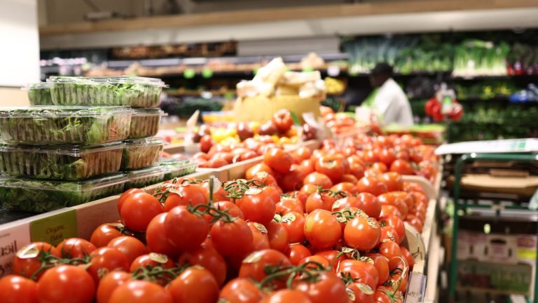 México potencia su producción nacional y diversifica mercados ante la amenaza de aranceles