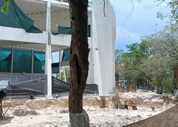 Denuncian acoso e intimidación contra defensora del Ombligo Verde