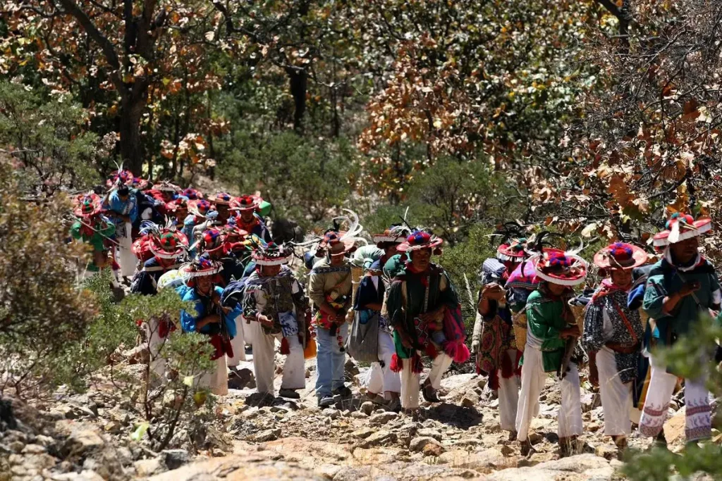 Ruta wixarika unesco: México celebra patrimonio sagrado vivo