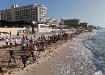 “TODOS CONTRA EL SARGAZO”: Refuerzan limpieza de playas de Cancún