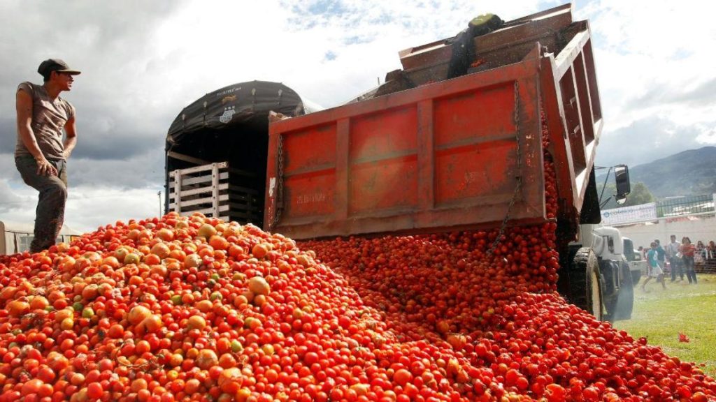 Sader busca evitar cuota compensatoria a exportación de jitomate mexicano