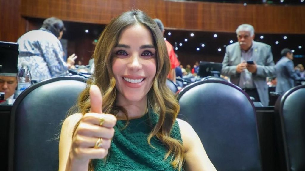 Sanción excesiva del TEPJF: Karina Barreras pide reconsideración por crítica en redes