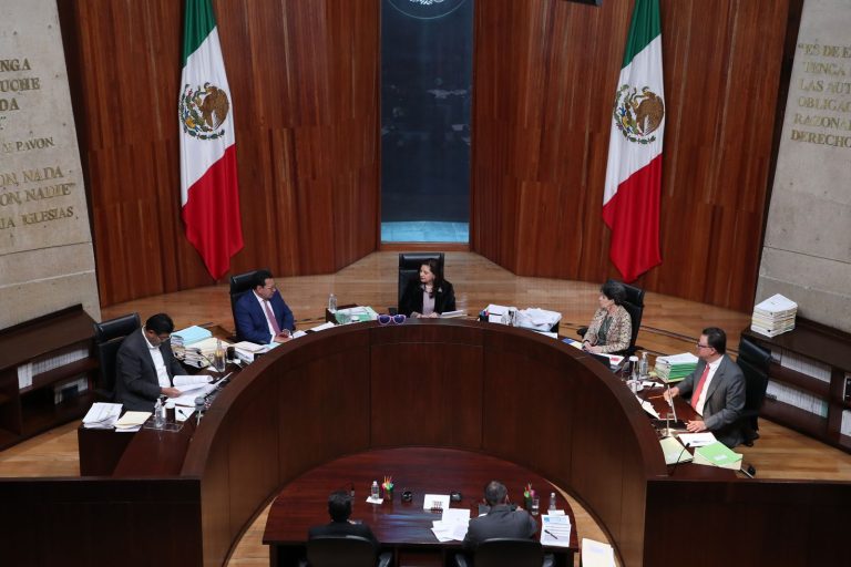 TEPJF: ¿Buena reputación o precedente legal en elección judicial de Irlanda Pacheco?