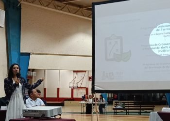 Advierten omisiones graves en proyecto multimodal del Tren Maya en Cancún