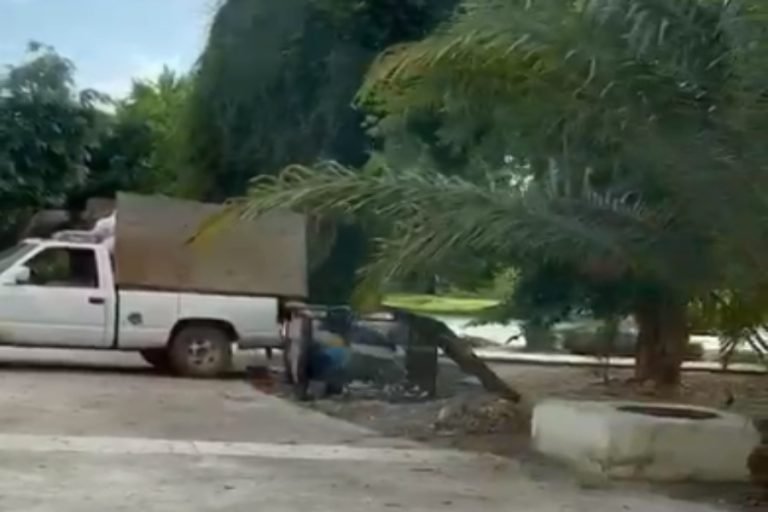 basura andara