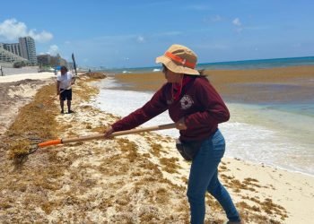 Descartan cancelaciones de reservaciones de hotel por el arribo de sargazo en Cancún