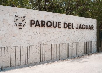 PARQUE JAGUAR EN TULUM: Grupo Mundo Maya reafirma acceso gratuito para residentes