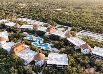 Hotel Mundo Maya Tulum confirma erradicación del escarabajo barrenador y opera con normalidad