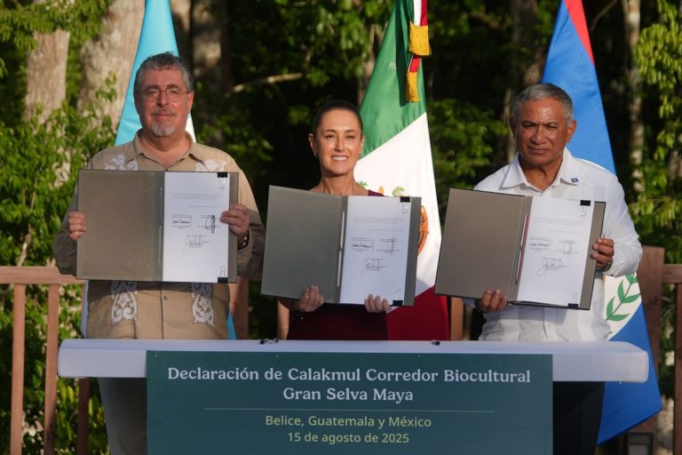 Acuerdo histórico: México, Guatemala y Belice unen fuerzas por la gran selva maya