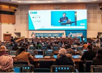 | VISIÓN INTERCULTURAL | Cumbre Mundial de Sistemas Alimentarios