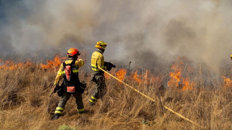 España arde: La devastación de 400 mil hectáreas y la crisis política