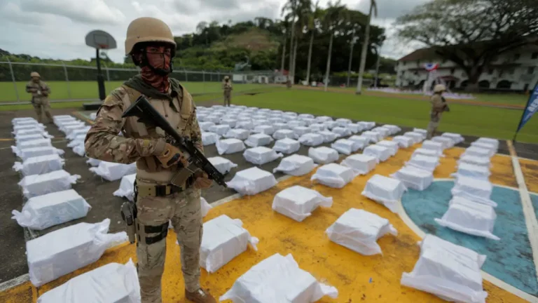 Golpe histórico: Autoridades asestan certero revés a las finanzas del narcotráfico por 8.2 mil millones de pesos