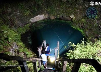TULUM: Exhiben diente de Megalodón encontrado en Puerto Morelos