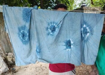 PLAGIO DESCARADO: Denuncian intento de apropiación del pigmento Azul Maya Ch’oj en Tulum