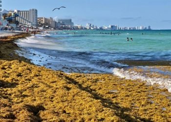 | CAMINOS DEL MAYAB | “Cuatro jinetes” que afecta el turismo en Quintana Roo