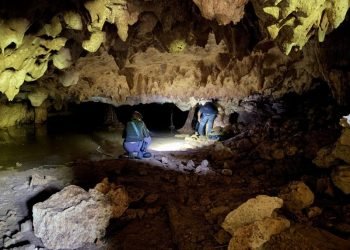 Refuerza acciones para proteger cenotes ante expansión urbana en Playa del Carmen