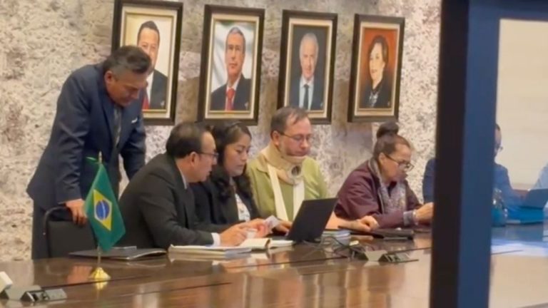 Justicia a domicilio: La polémica en el Senado que desata críticas por trato diferenciado