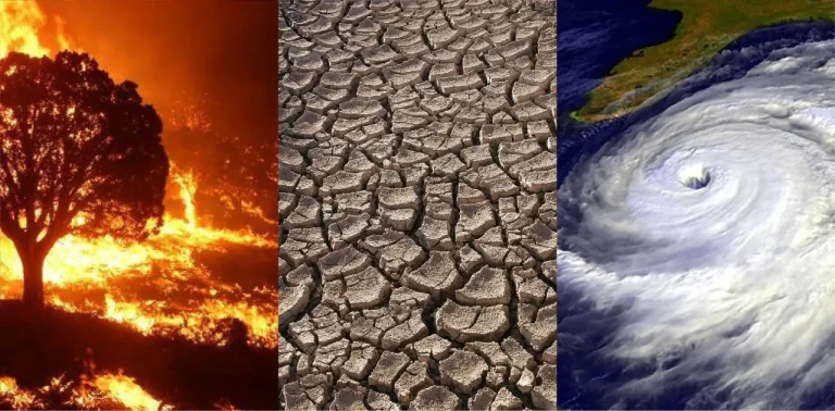 La inversión ambiental: Un imperativo ante la geopolítica y el cambio climático en México