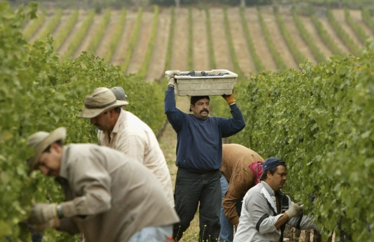 La reforma migratoria de Trump: ¿Un retorno al modelo bracero en Estados Unidos?