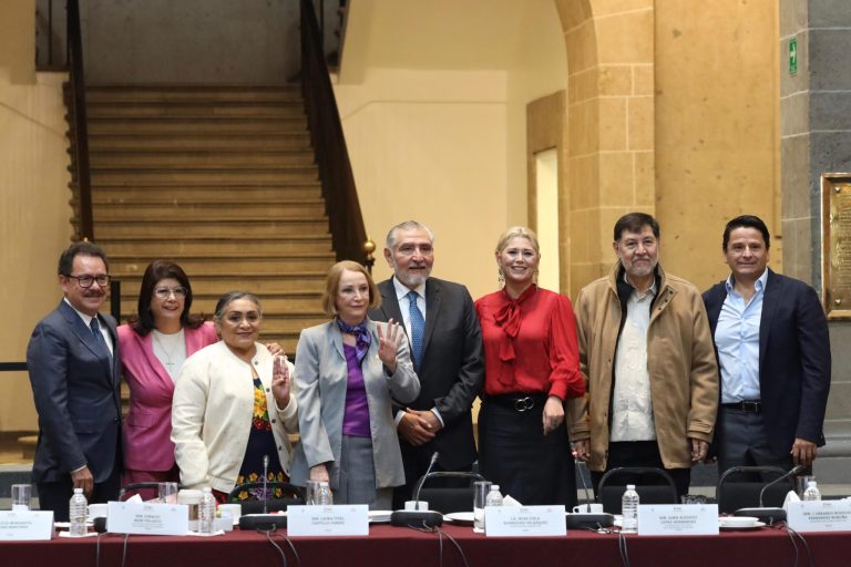 Laura Itzel Castillo presidirá el senado: consolidación de la 4T y desafío al debate plural