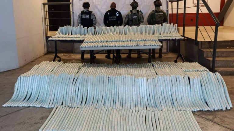 Megadecomisos federales: Cientos de millones en golpe al crimen organizado