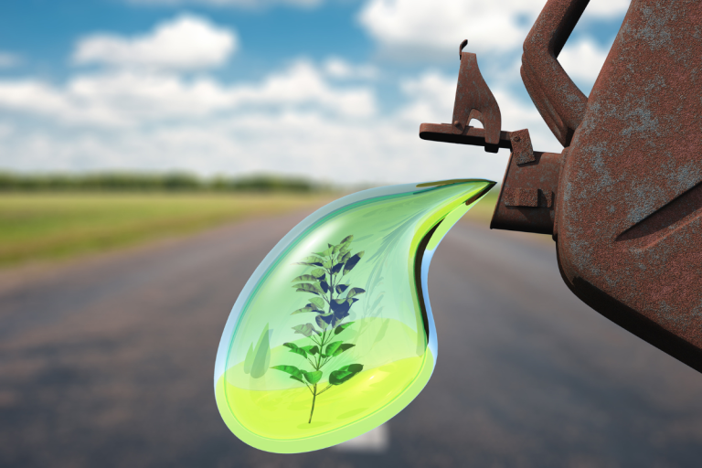 México contempla biocombustibles en su plan energético, aseguran expertos