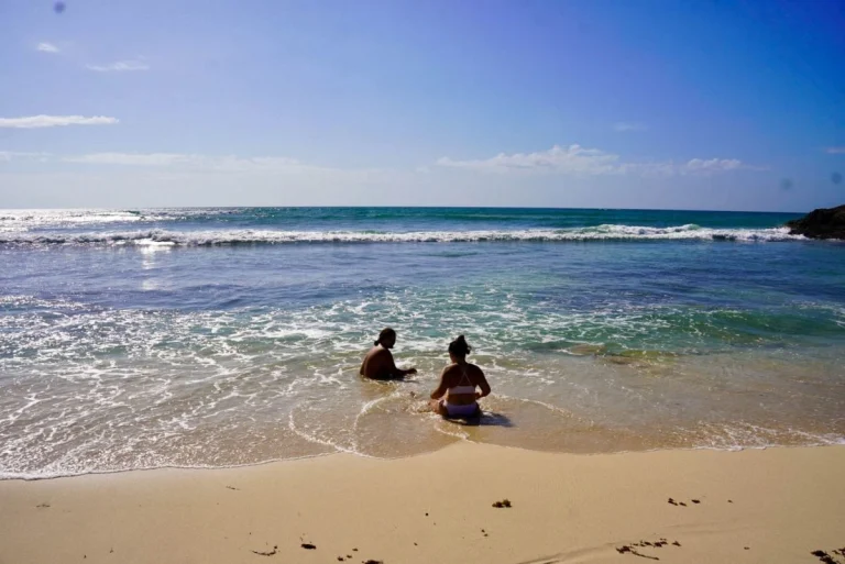 Morena propone acceso gratuito a playas y áreas protegidas en San Lázaro