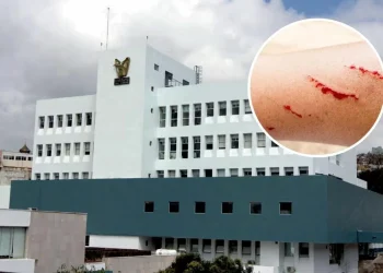 Tragedia por rabia en Zacatecas: Joven muere tras mordedura de zorrillo