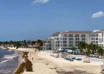 Fiestas patrias y Día de Muertos, la apuesta de Playa del Carmen para atraer turistas nacionales