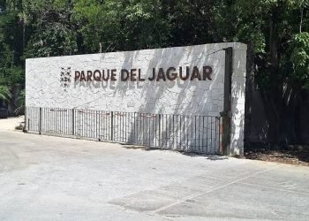 DOMINGOS SIN COSTO: Parque del Jaguar abrirá sus puertas gratis a partir del 31 de agosto
