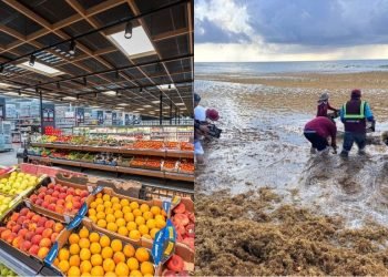 | CAMINOS DEL MAYAB | Crisis económica y política en Quintana Roo