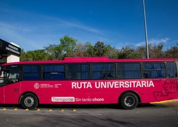 Anuncian reanudación de rutas universitarias gratuitas en Playa del Carmen