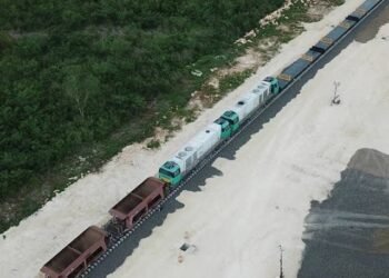 Semarnat autoriza desmonte de selva para terminal de carga del Tren Maya en Cancún, pese a presencia de especies en riesgo
