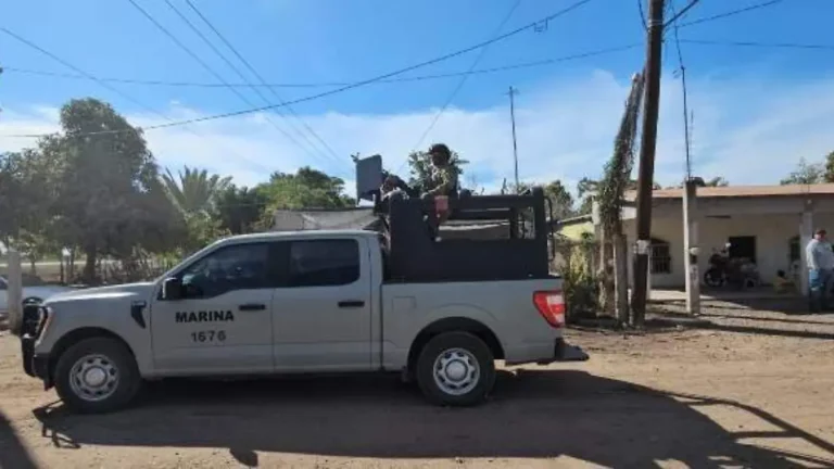 Afectación millonaria al crimen organizado en Sinaloa y Sonora supera los mil 600 mdp