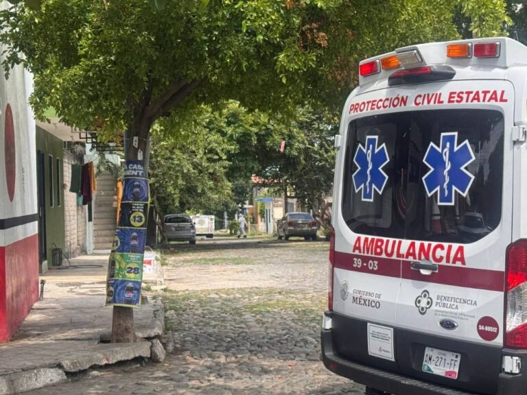 Colima: Emergencia por ataque de abejas en centro histórico deja tres lesionados