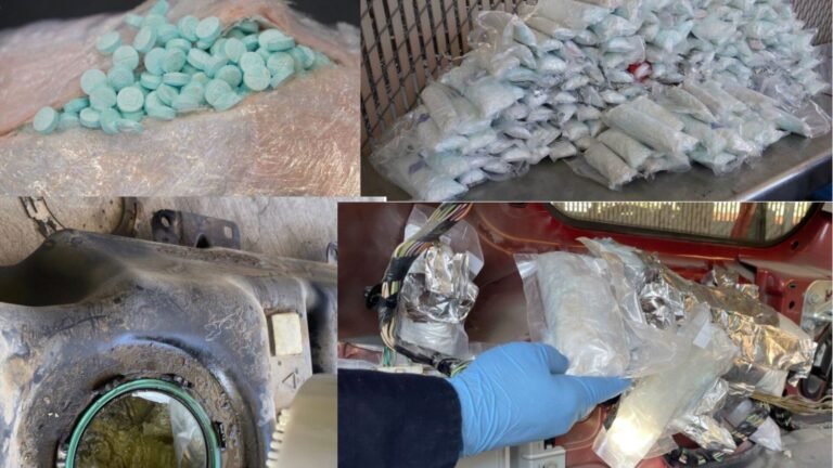 Decomiso de fentanilo y heroína en Sonora: Un golpe estratégico al narcotráfico