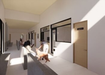 Construirán primer Hospital de Bienestar Animal en Cancún