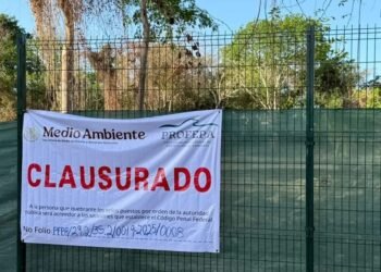 Impondrán sanciones al proyecto Legacy en Playacar por incumplimiento ambiental