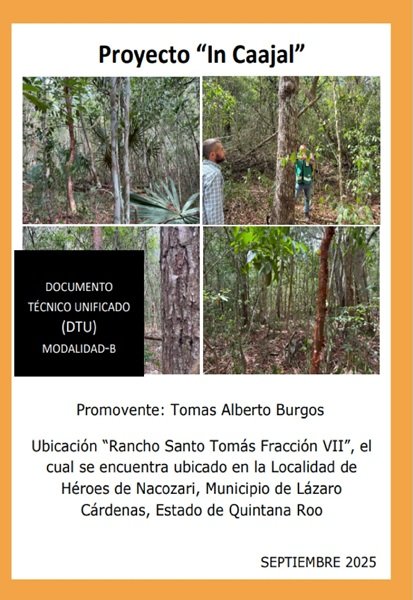 Imagen de WhatsApp 2025 09 20 a las 10.40.42 c8bf7d49