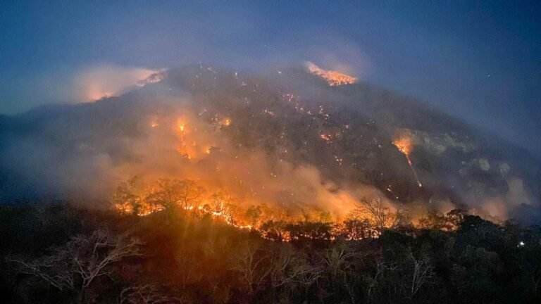 Incendios forestales y calidad del aire: Una mezcla tóxica con impacto global