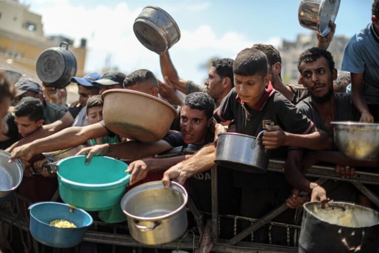 La OMS urge a Israel a detener las muertes por hambre en Gaza