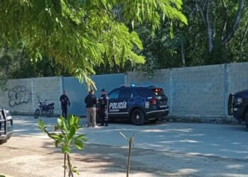 PLAYA DEL CARMEN: Detienen a hombre acusado de abusar de una perrita