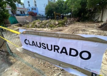 Clausuran predio por tala ilegal de árboles en Playa del Carmen