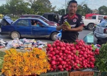 Planean instalar más tianguis en colonias irregulares de Cancún