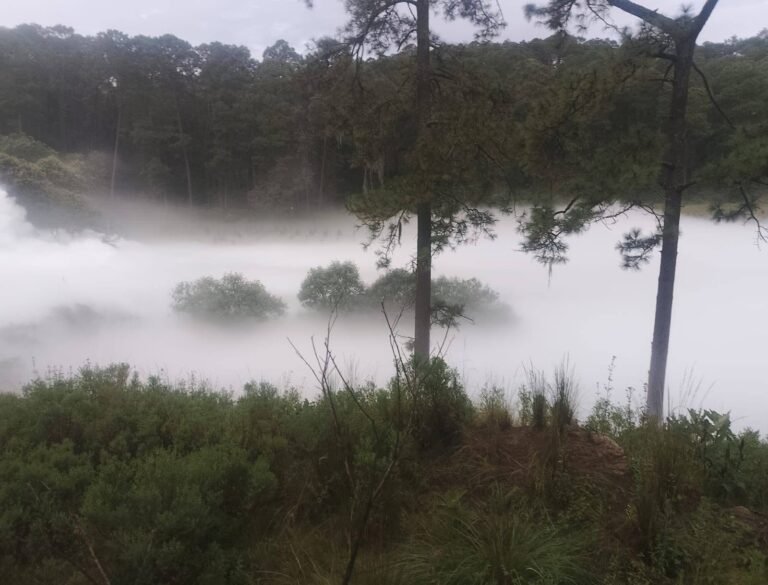 Toma clandestina provoca fuga de gas de Pemex; evacúan a 3 mil en Tlaxcala